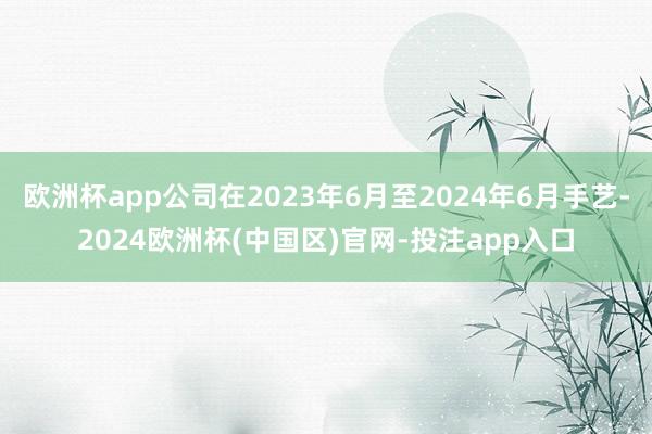 欧洲杯app公司在2023年6月至2024年6月手艺-2024欧洲杯(中国区)官网-投注app入口