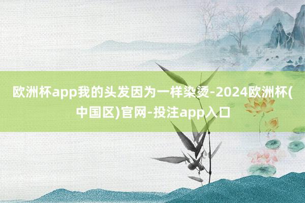 欧洲杯app我的头发因为一样染烫-2024欧洲杯(中国区)官网-投注app入口