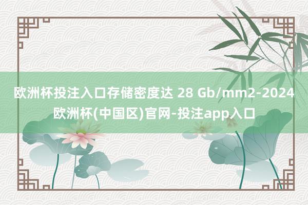 欧洲杯投注入口存储密度达 28 Gb/mm2-2024欧洲杯(中国区)官网-投注app入口