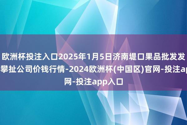 欧洲杯投注入口2025年1月5日济南堤口果品批发发展有限攀扯