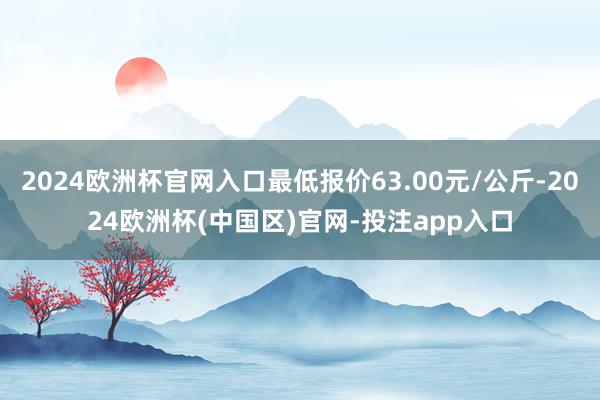 2024欧洲杯官网入口最低报价63.00元/公斤-2024欧