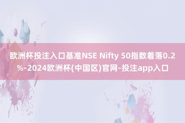 欧洲杯投注入口基准NSE Nifty 50指数着落0.2%-