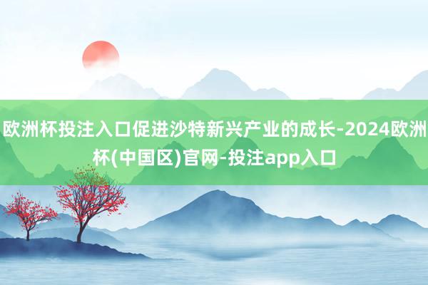 欧洲杯投注入口促进沙特新兴产业的成长-2024欧洲杯(中国区