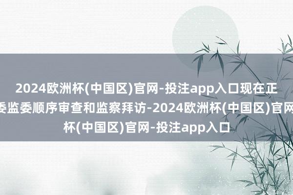 2024欧洲杯(中国区)官网-投注app入口现在正接纳宁国市纪委监委顺序审查和监察拜访-2024欧洲杯(中国区)官网-投注app入口