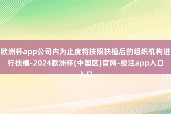欧洲杯app公司内为止度将按照扶植后的组织机构进行扶植-20