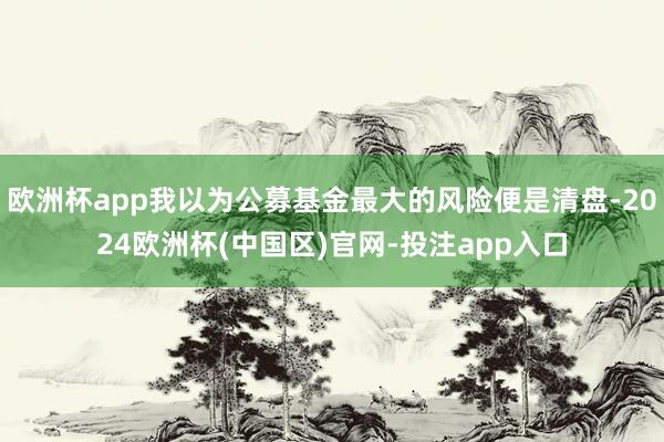 欧洲杯app我以为公募基金最大的风险便是清盘-2024欧洲杯(中国区)官网-投注app入口