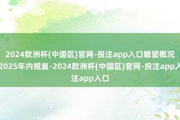 2024欧洲杯(中国区)官网-投注app入口瞻望概况在202