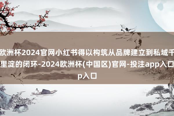 欧洲杯2024官网小红书得以构筑从品牌建立到私域千里淀的闭环