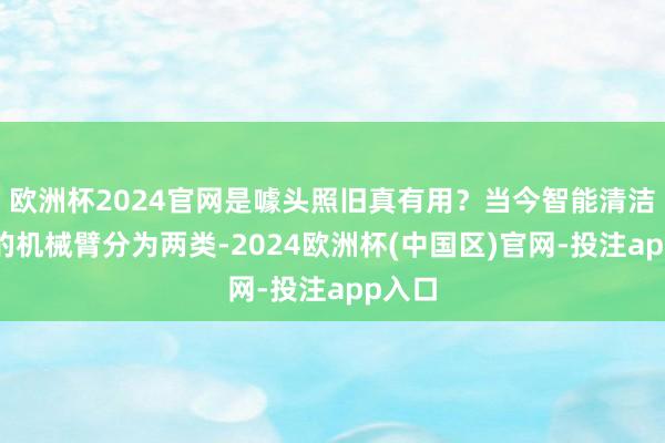 欧洲杯2024官网是噱头照旧真有用？当今智能清洁产物的机械臂分为两类-2024欧洲杯(中国区)官网-投注app入口