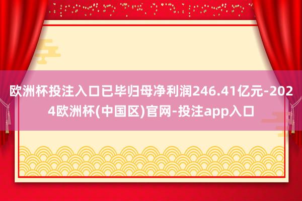 欧洲杯投注入口已毕归母净利润246.41亿元-2024欧洲杯