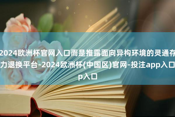 2024欧洲杯官网入口而是推露面向异构环境的灵通存力退换平台
