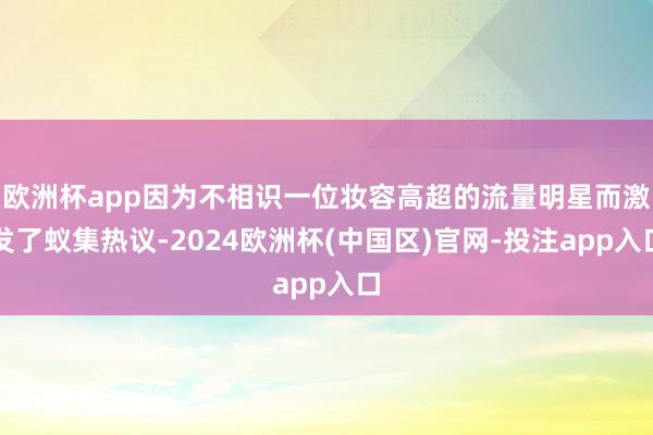 欧洲杯app因为不相识一位妆容高超的流量明星而激发了蚁集热议