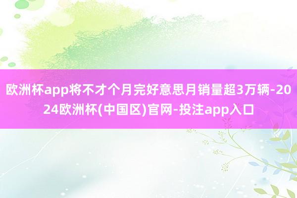 欧洲杯app将不才个月完好意思月销量超3万辆-2024欧洲杯