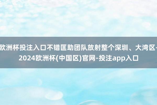 欧洲杯投注入口不错匡助团队放射整个深圳、大湾区-2024欧洲