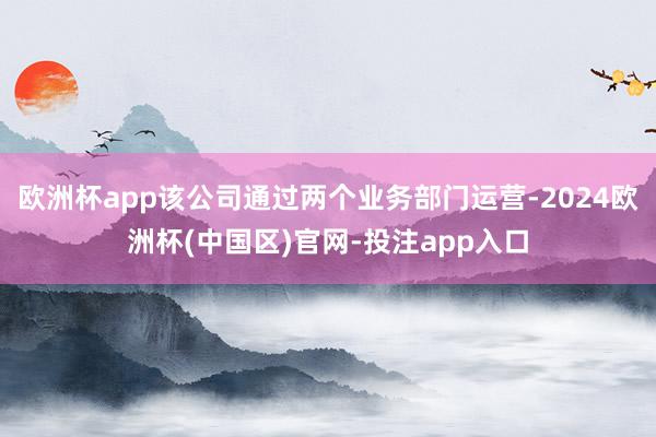 欧洲杯app该公司通过两个业务部门运营-2024欧洲杯(中国
