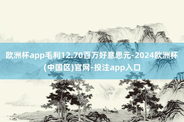 欧洲杯app毛利12.70百万好意思元-2024欧洲杯(中国区)官网-投注app入口