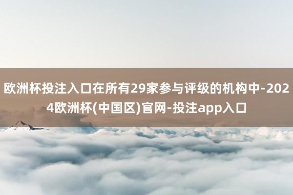 欧洲杯投注入口在所有29家参与评级的机构中-2024欧洲杯(