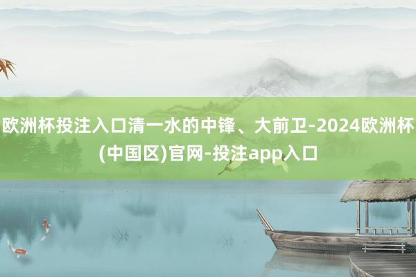 欧洲杯投注入口清一水的中锋、大前卫-2024欧洲杯(中国区)