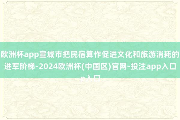 欧洲杯app宣城市把民宿算作促进文化和旅游消耗的进军阶梯-2