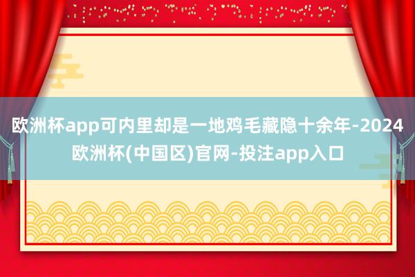 欧洲杯app可内里却是一地鸡毛藏隐十余年-2024欧洲杯(中