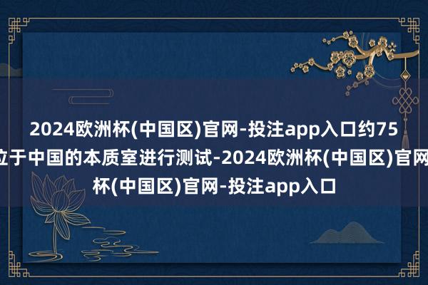 2024欧洲杯(中国区)官网-投注app入口约75%电子居品