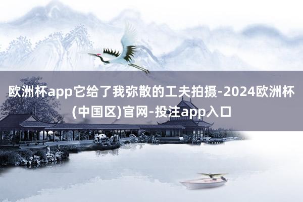 欧洲杯app它给了我弥散的工夫拍摄-2024欧洲杯(中国区)