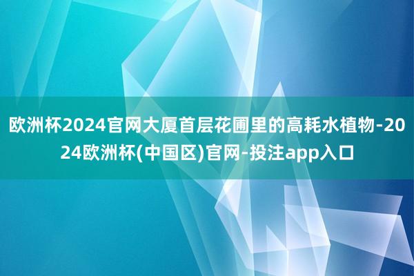 欧洲杯2024官网大厦首层花圃里的高耗水植物-2024欧洲杯(中国区)官网-投注app入口